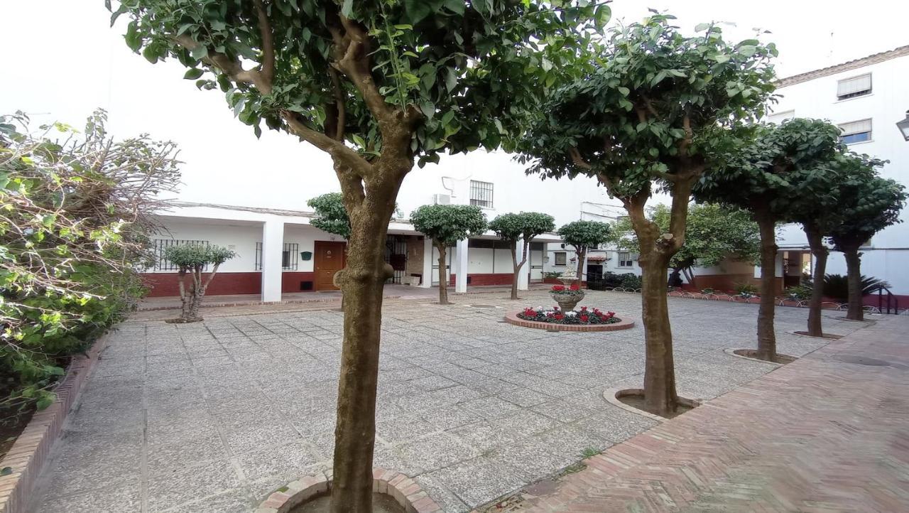 Apartamento Conde De Priego Cordoba Ngoại thất bức ảnh